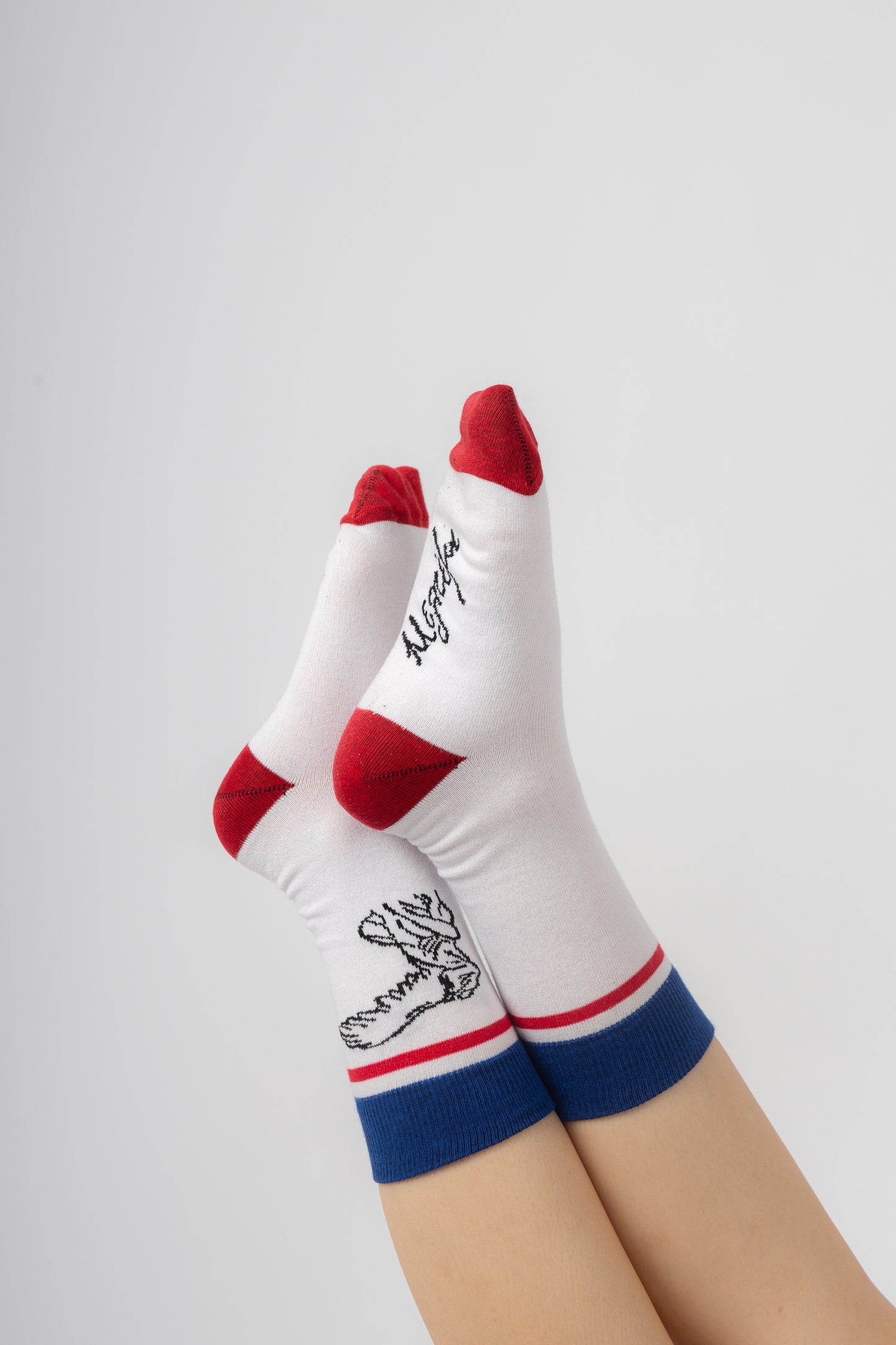 Winged Victory of Samothrace Unisex Socks | Samothrace