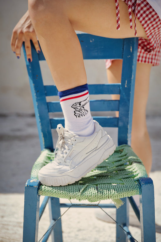 Winged Victory of Samothrace Unisex Socks | Samothrace
